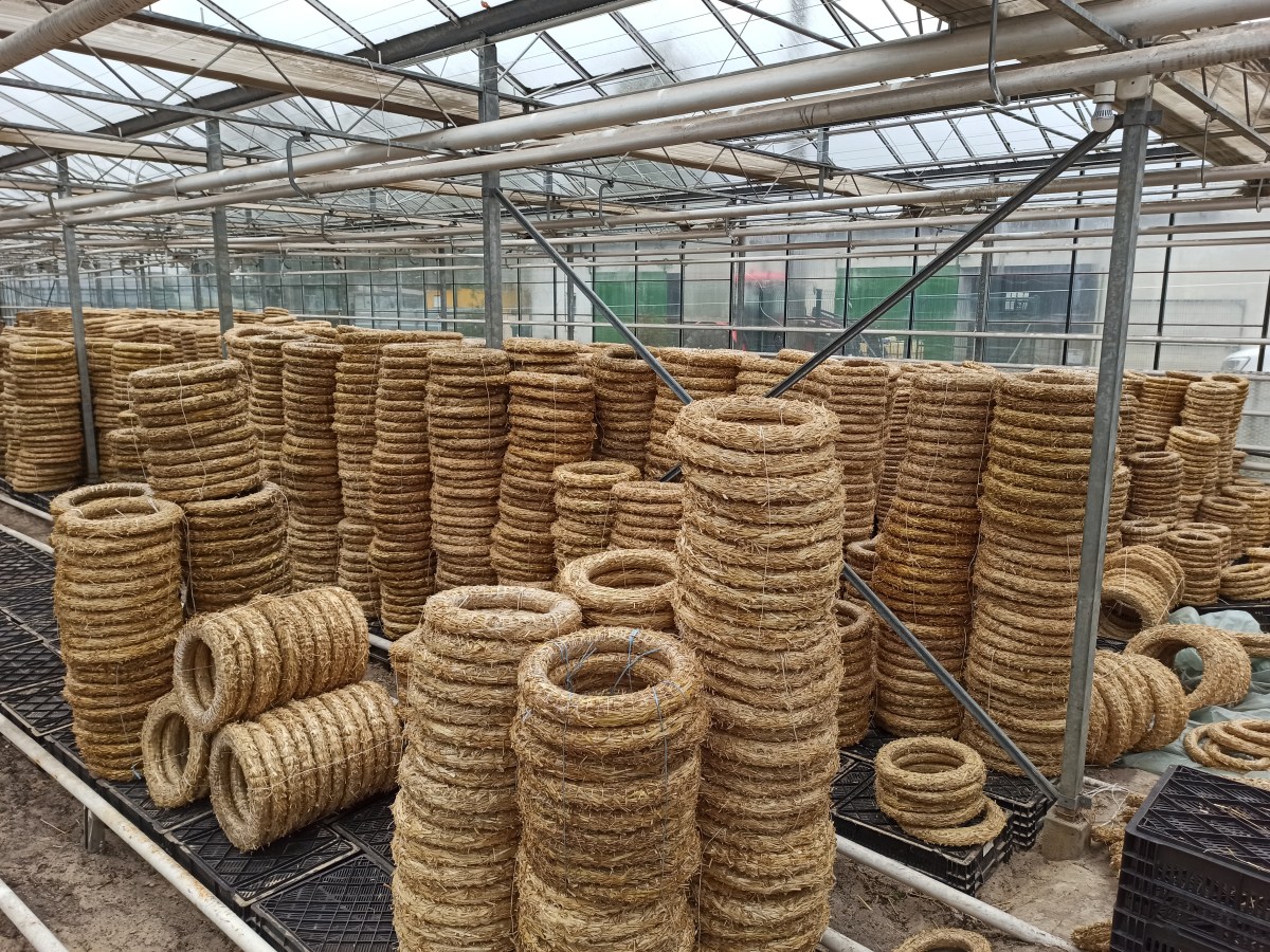 Zapraszamy po wianki