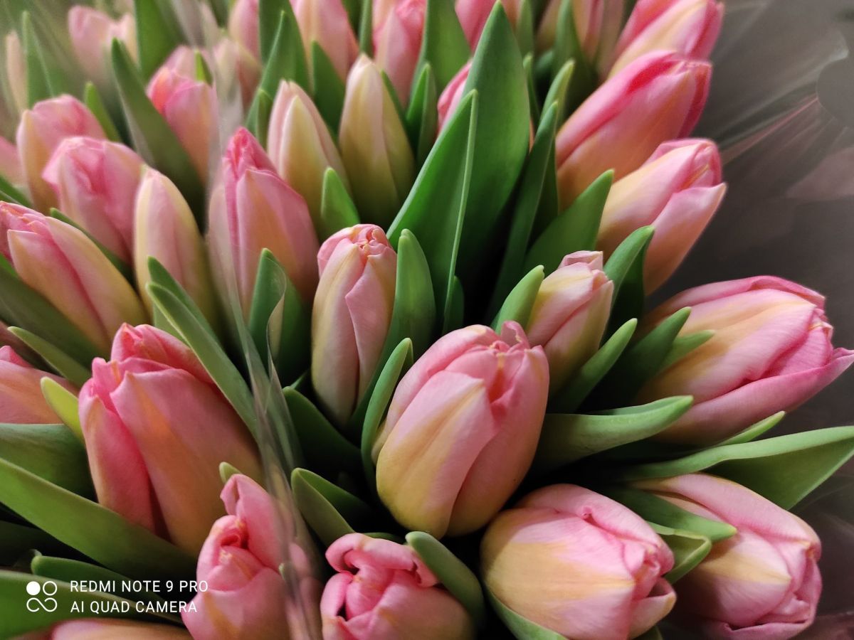 Już niedługo Walentynki!