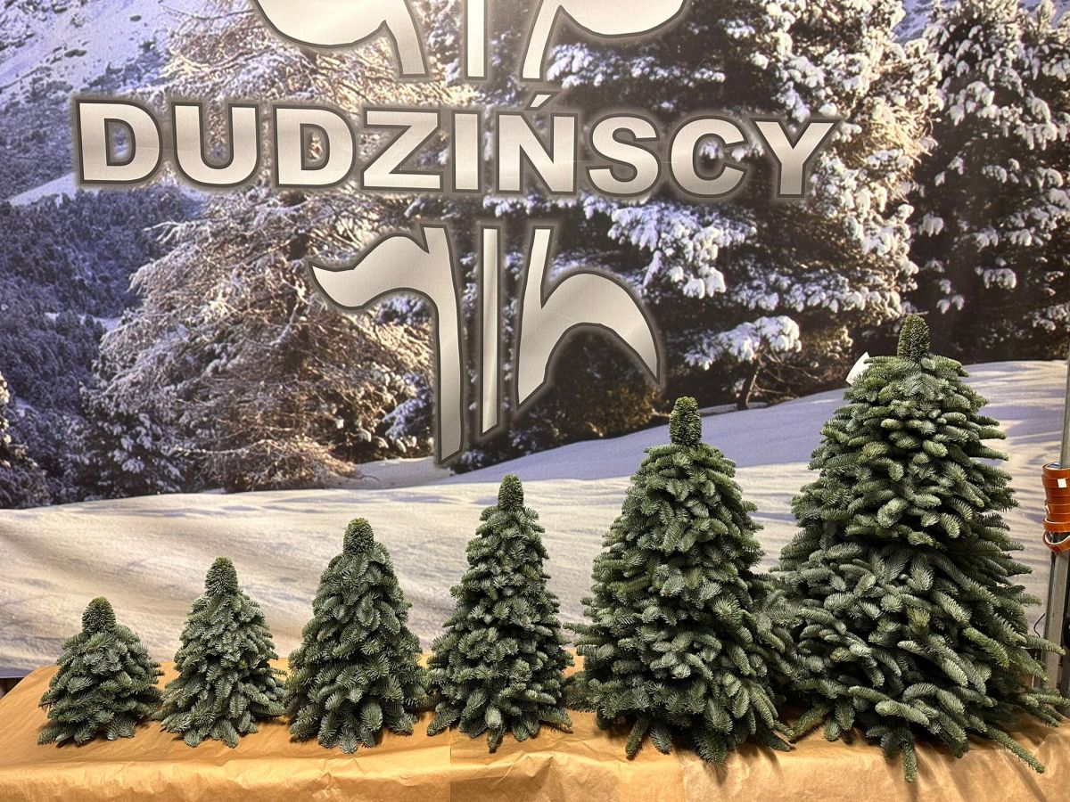 Sezon Zima 2023&nbsp;rozpoczęty!!!